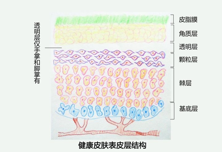 https://www.l07.cn/file/upload/202110/15/1127022728491.jpg