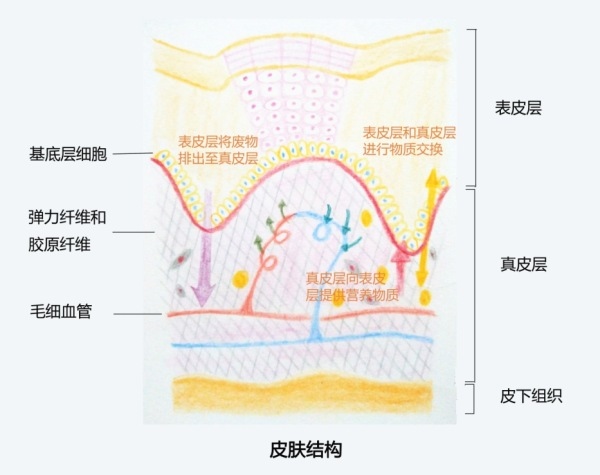 https://www.l07.cn/file/upload/202110/15/1127025774681.jpg